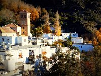 17128933991 1e8dfe3364 o13 copia  21